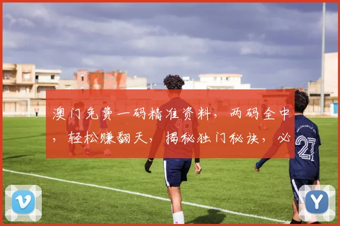 澳门免费一码精准资料，两码全中，轻松赚翻天，揭秘独门秘诀，必看