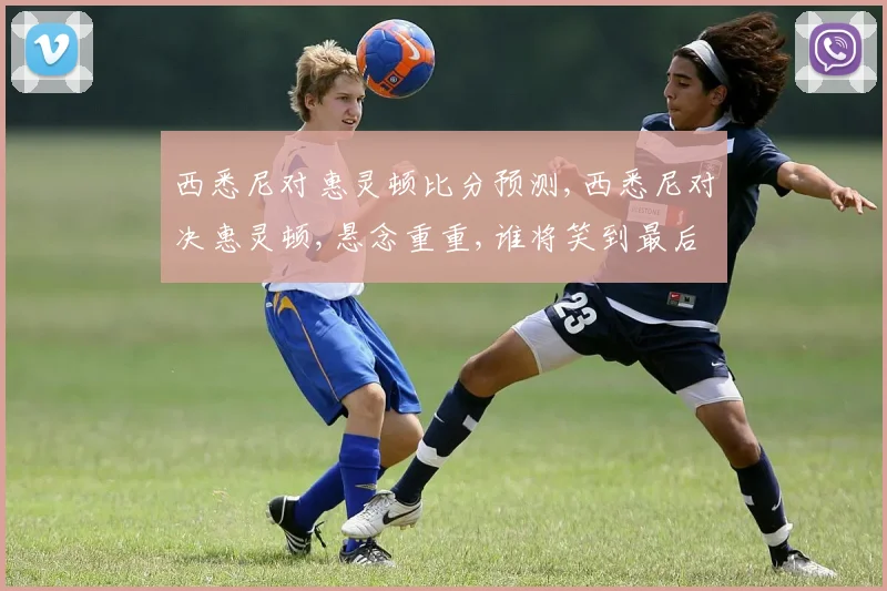 西悉尼对惠灵顿比分预测,西悉尼对决惠灵顿,悬念重重,谁将笑到最后